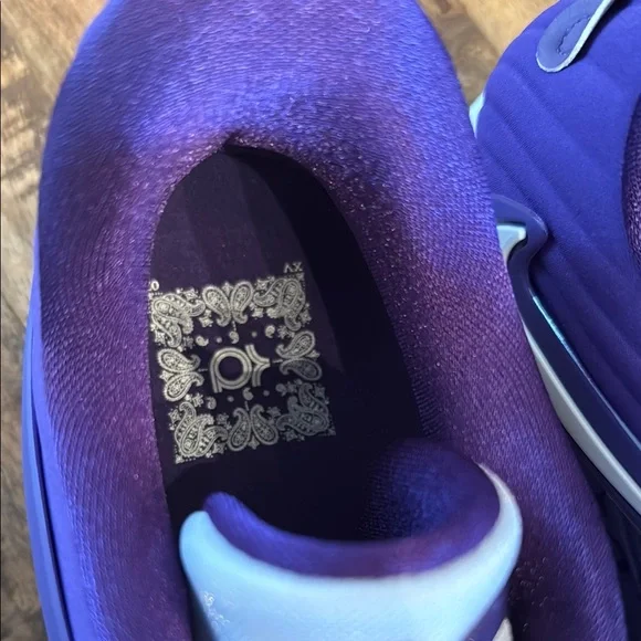 Nike KD15 TB “Court Purple”